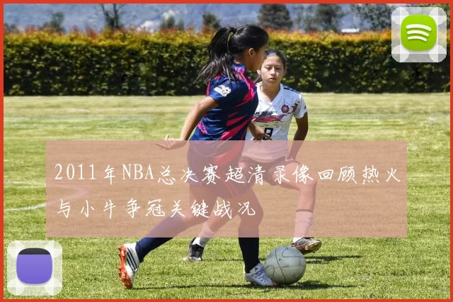 2011年NBA总决赛超清录像回顾热火与小牛争冠关键战况